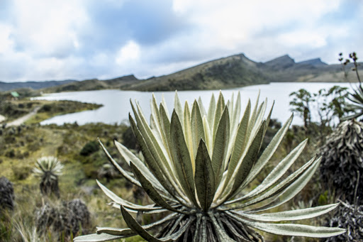 Trekking Páramo Sumapaz (5)