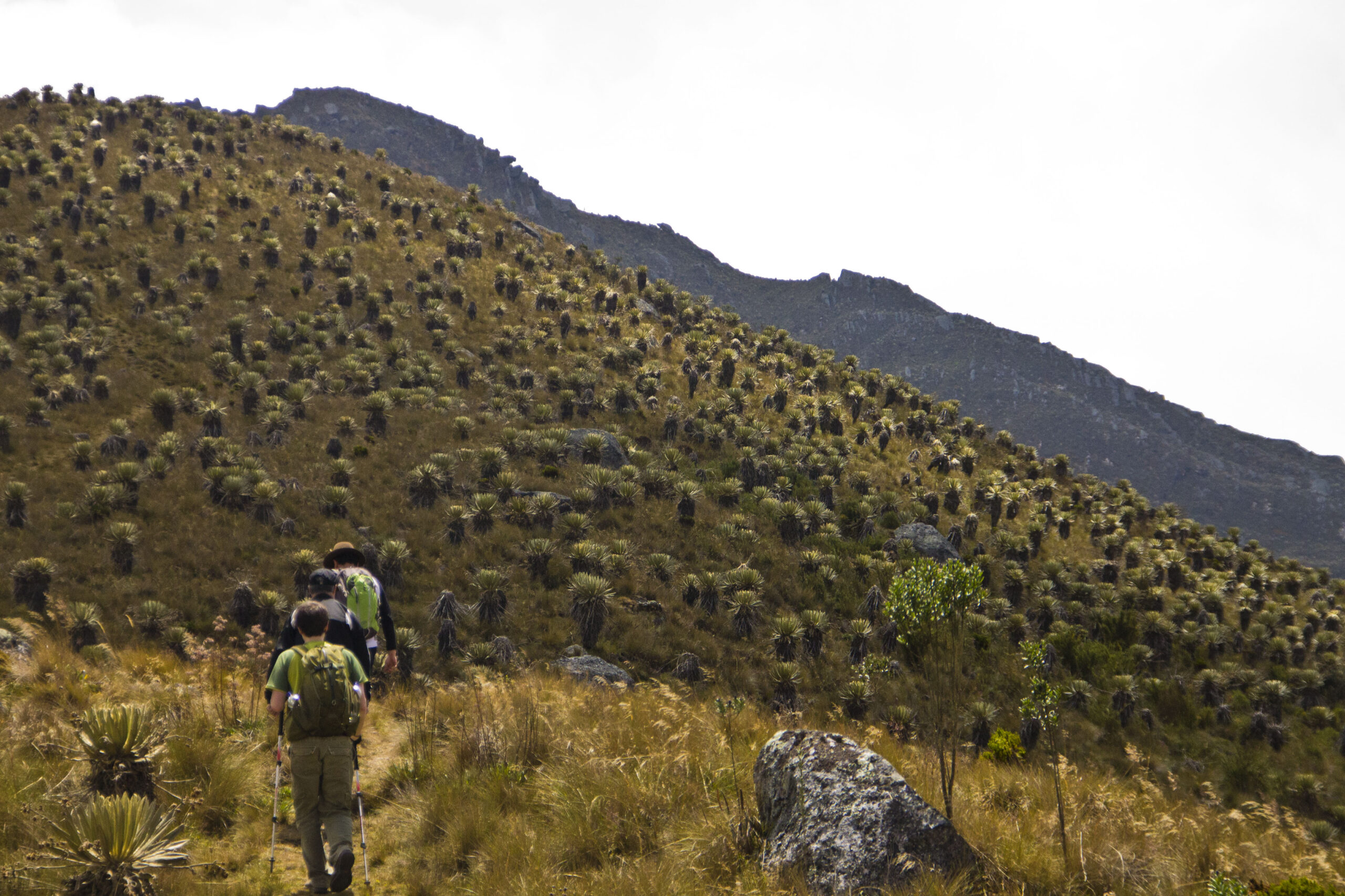 Trekking Páramo Sumapaz (7)